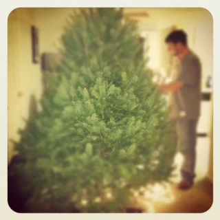Blank Tree Blank Tree