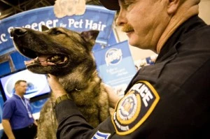 K-9 K-9