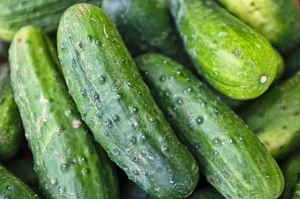New Jersey, If You Smell Cucumbers In Your House Leave Immediately