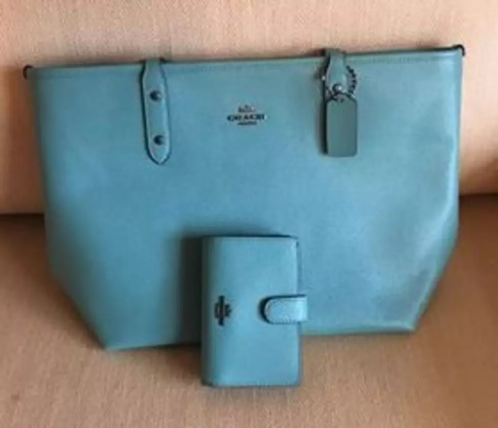 Designer Bag Bingo in Somers Point Raises Money for Mammograms