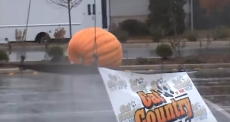 Win $1,000 in the Cat Country Great Pumpkin Drop