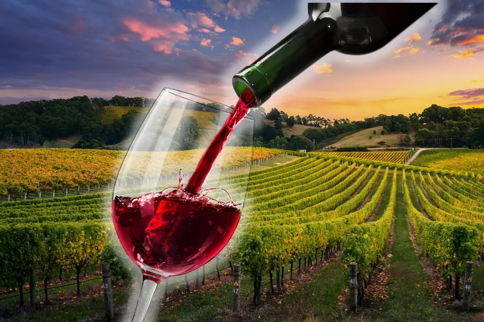 One South Jersey Winery Has The Most Beautiful Country Views