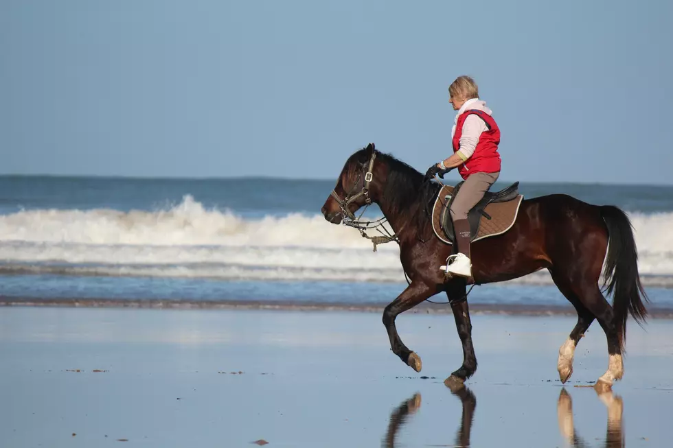 Here’s Where To Ride A Horse On the Beach In South Jersey This Winter
