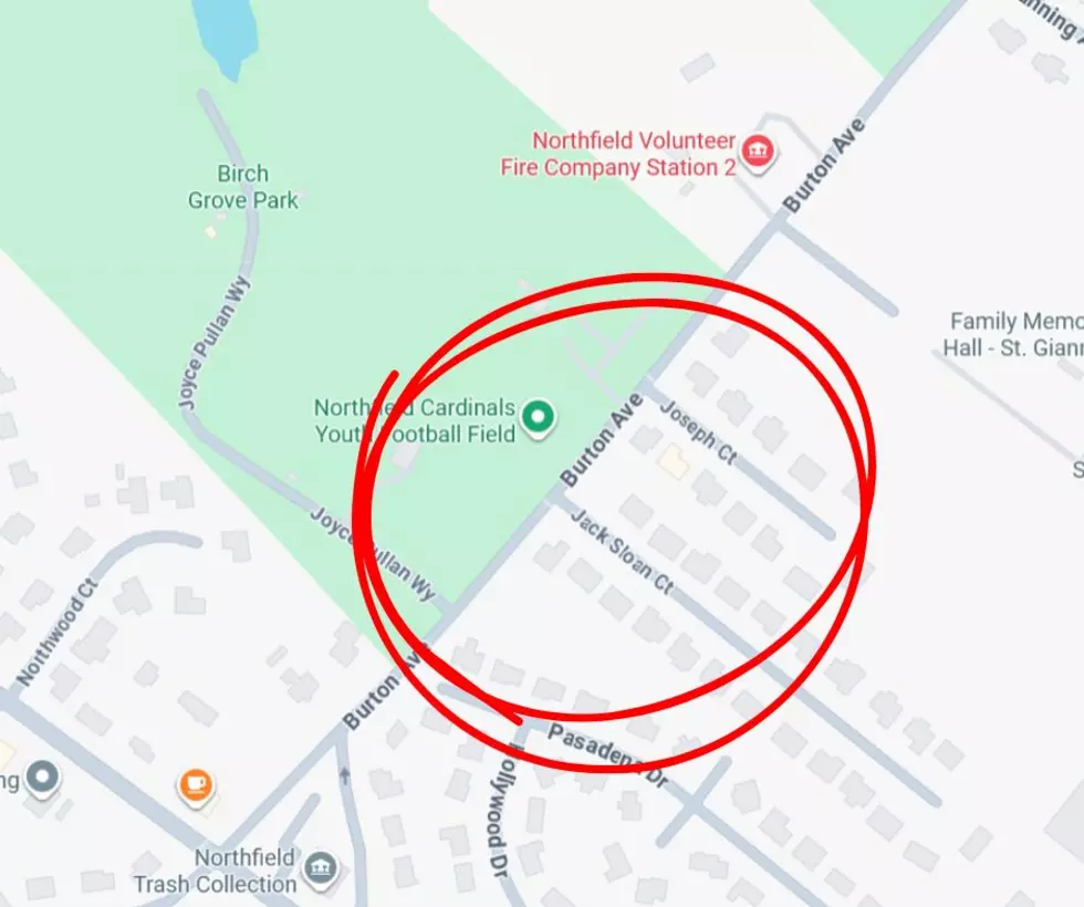 Car Burglars Strike in Northfield, Police Look for Help