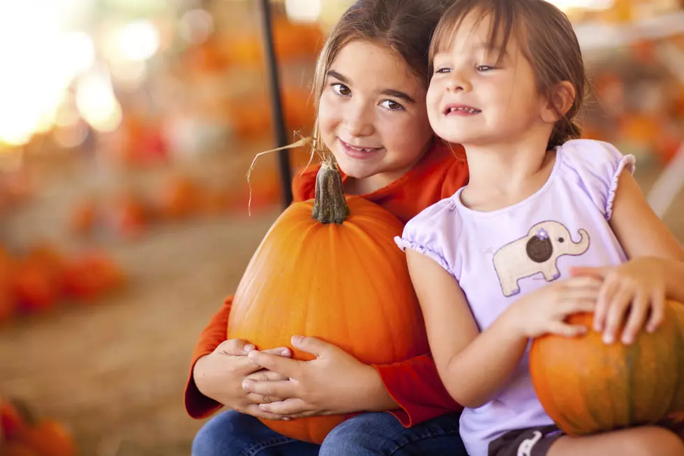 Pumpkins – No Trick, All Treat