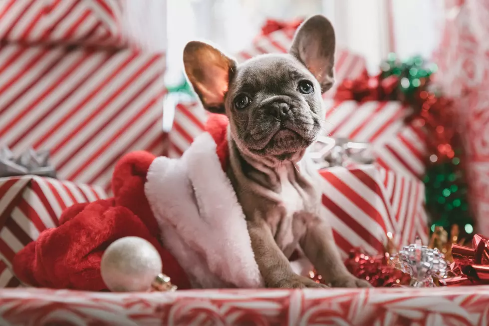 12 Days of Giving Day: WINNER